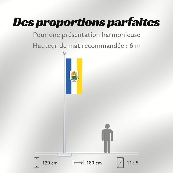 Proportions du drapeau : Jena
