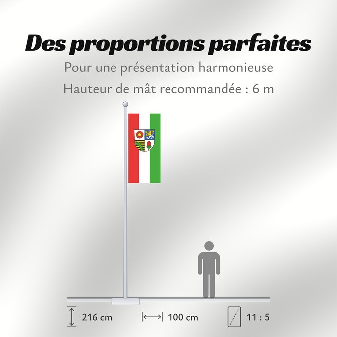 Proportions du drapeau : Landkreis Altenburger Land	Altenburger Land District	District d'Altenburger Land	Distrito de Altenburger Land	Landkreises Altenburger Land	Distretto di Altenburger Land