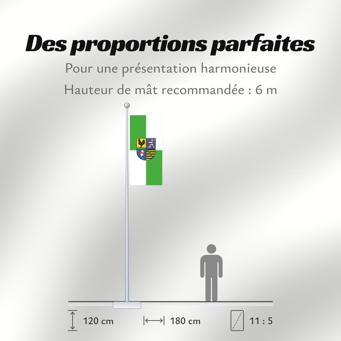 Proportions du drapeau : Landkreis Schmalkalden-Meiningen	German district of Schmalkalden-Meiningen	Schmalkalden-Meiningen	Landkreises Schmalkalden-Meiningen  Die Flagge des Landkreises Schmalkalden-Meiningen ist grün-weiß geviert und trägt in der Mitte das Kreiswappen