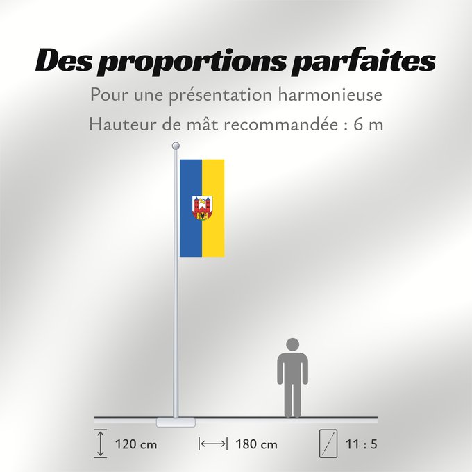 Proportions du drapeau : Suhl