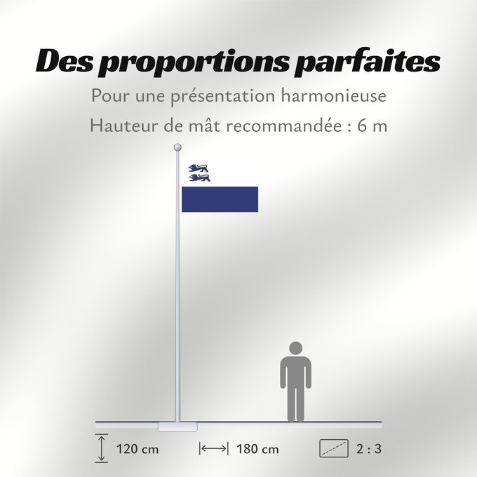 Proportions du drapeau : Bund Deutscher Norsleswischer