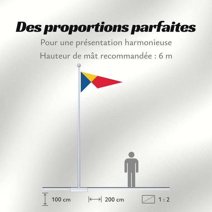 Proportions du drapeau : Swedish-Danish Icebreaker Service, pre WWII	Used by the Swedish-Danish Icebreaker Service	Service suédo-danois de brise-glace (avant la Seconde Guerre mondiale)	Servicio de Rompehielos Sueco-Danés (antes de la Segunda Guerra Mundial)	Schwedisch-Dänische E