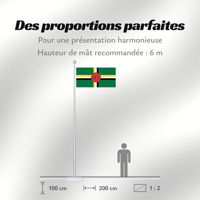 Proportions du drapeau : Dominica  1978–1981	Dominica 1978-1981	Dominique (1978–1981)	Dominica (1978–1981)