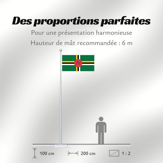 Proportions du drapeau : Dominica 1981-1988 Dominica 1981-1988