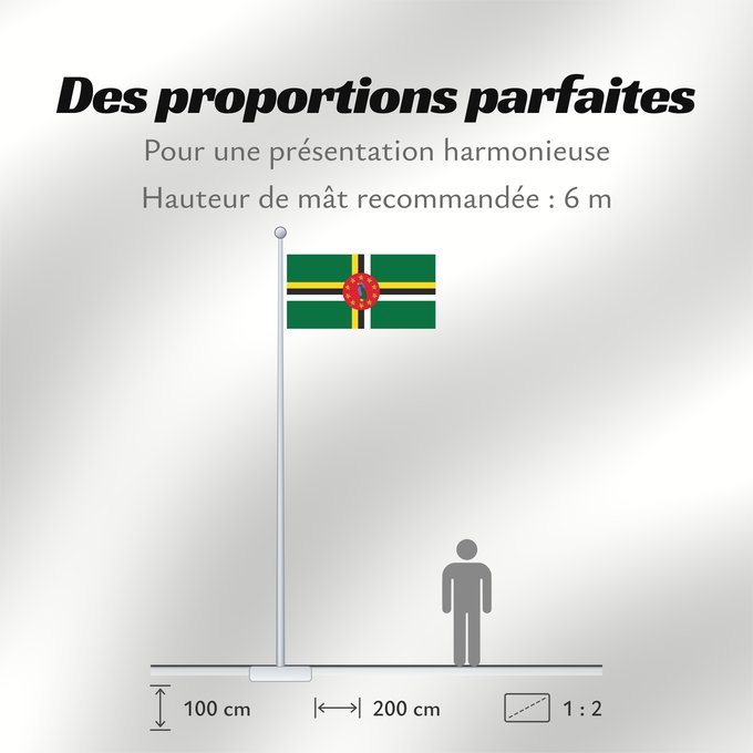 Proportions du drapeau : Dominica 1988-1990 Dominica from 1988 to 1990