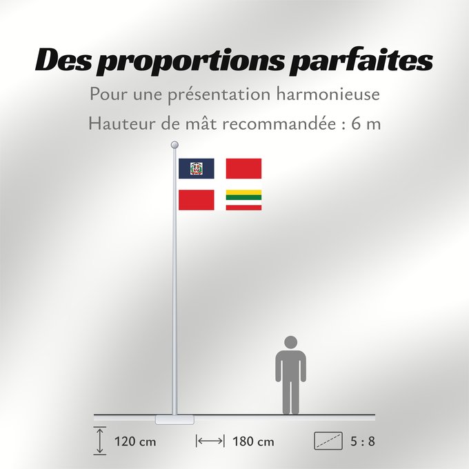 Proportions du drapeau : Army Flag of the Dominican Republic Ejercito dominicano- flag of the dominican army