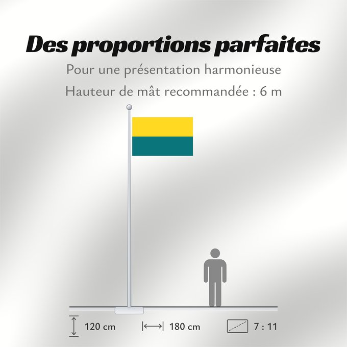 Proportions du drapeau : Et-Narva	Narva