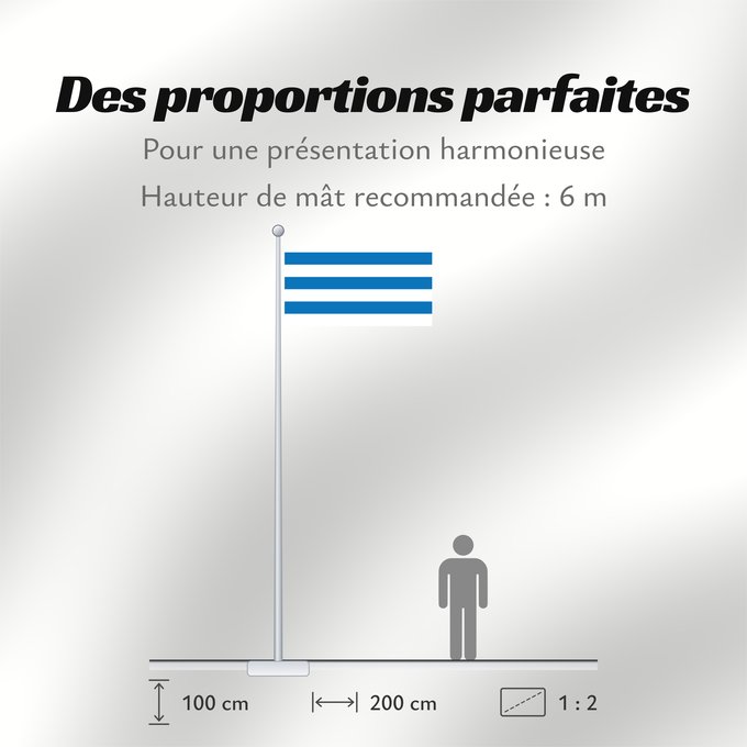 Proportions du drapeau : Tallinn Tallinn, Estonia Tallin Stadt Tallinn ehemaliges Reval , Estland Tallinna lipp