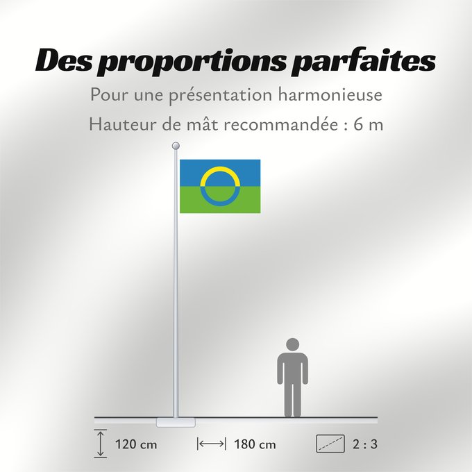 Proportions du drapeau : Võros old proposal Võros unofficial proposal Võros (proposition non officielle) Võros (propuesta no oficial) Võros (inoffizieller Vorschlag) Võros (proposta non ufficiale)