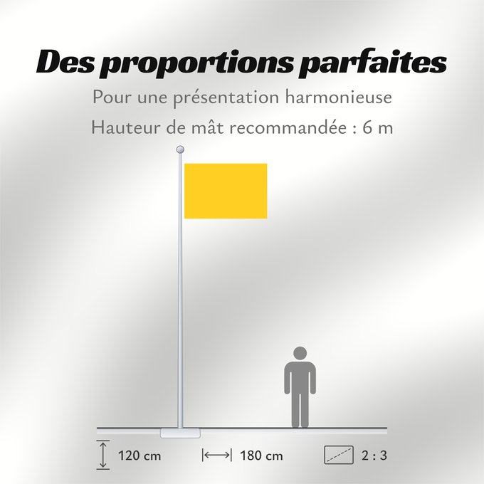 Proportions du drapeau : Ayyubid Dynasty Dynastie ayyoubide Dinastía Ayubí Ayyubiden-Dynastie Dinastia ayyubide Ayyubid