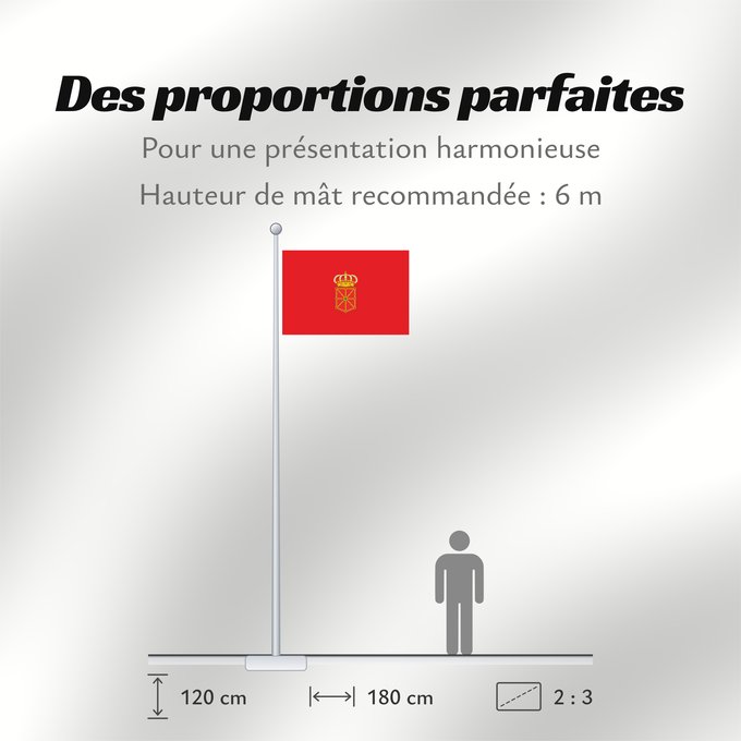 Proportions du drapeau : Navarra Navarre Spain Article 7.2. of the LORAFNA stipulates The flag of Navarre is red Communauté Forale de Navarre Comunidad Foral de Navarra Navarre Nafarroako Foru Komunitatea bandera Nafarroako armarria