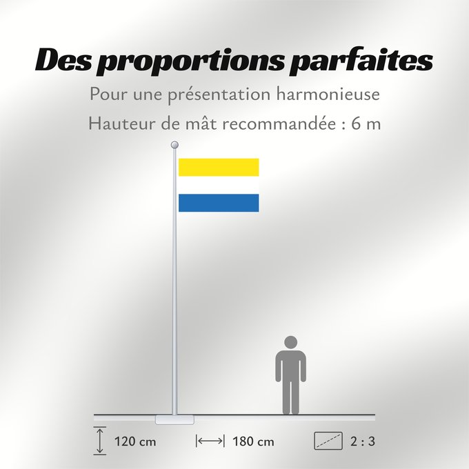 Proportions du drapeau : Torne Finns	Torne Finns See also Image Torne Finnish Flag.PNG	Finnois de Torne	Fineses de Torne	Tornedaler Finnen	Finni di Torne	Meänmaan