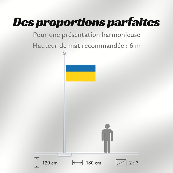 Proportions du drapeau : Tornedalians	Tornedalians (unofficial)	Tornédaliens (non officiel)	Tornedalianos (no oficial)	Tornedalen (inoffiziell)	Tornedaliani (non ufficiale)	The unofficial flag of Tornedalians