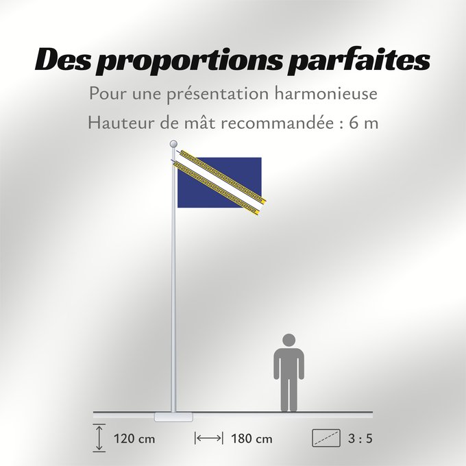 Proportions du drapeau : Champagne-Ardenne Region Champagne-Ardenne in France Région Champagne-Ardenne en France Champaña-Ardenas
