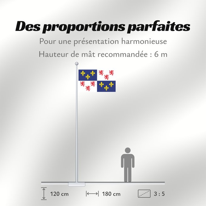 Proportions du drapeau : Picardie	Region Picardie in France	Région Picardie en France	Picardo	Picard