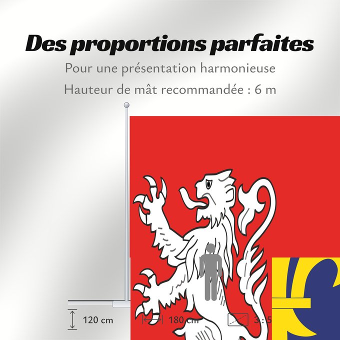 Proportions du drapeau : Maine province Region Maine in France Région Maine en France Maine (provincia) Maine (Provinz)
