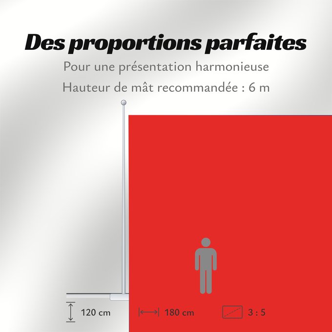 Proportions du drapeau : Marche  province	Region Rhône-Alpes in France	Région Rhône-Alpes en France