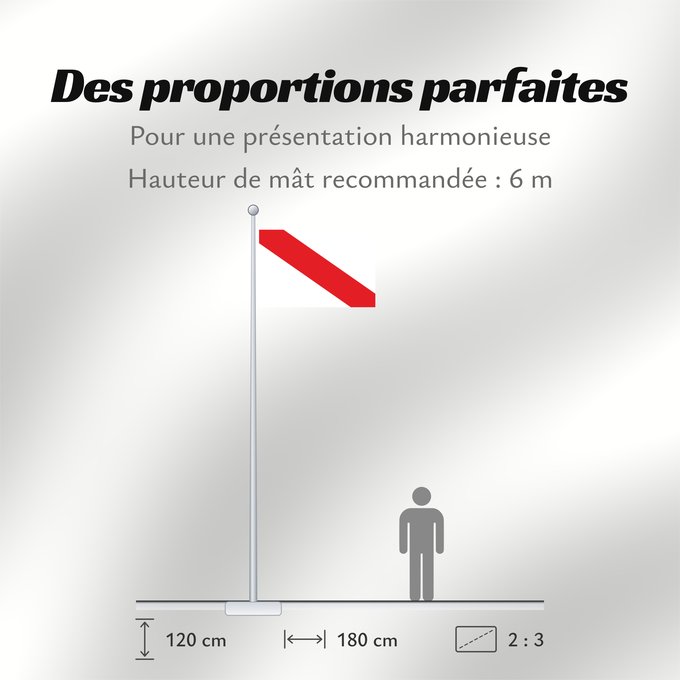 Proportions du drapeau : Strasbourg	Estrasburgo	Straßburg	Strasburgo