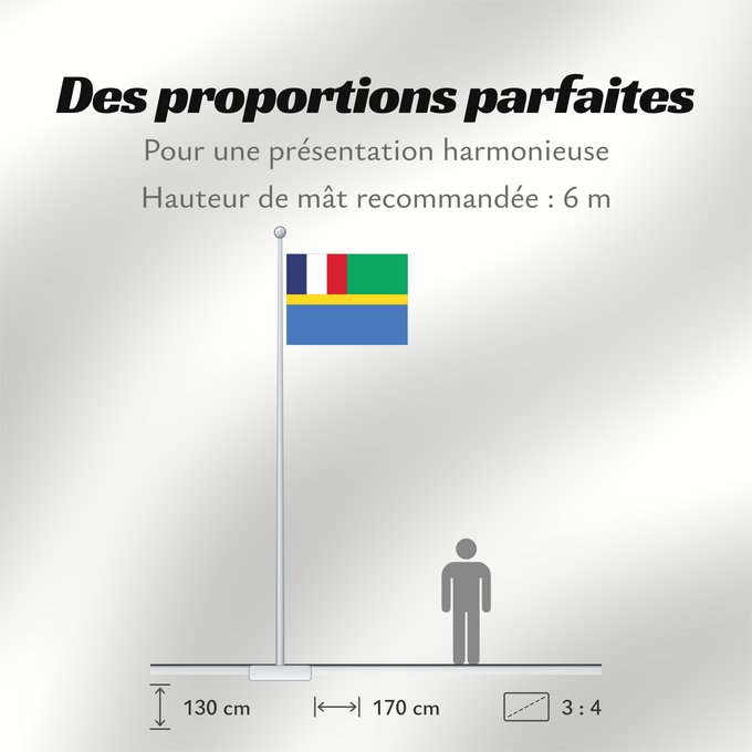 Proportions du drapeau : Gabon 1959-1960 Gabon, 1959-1960 Gabão, 1959-1960 Banniel Gabon, 1959-1960 Gabono, 1959-1960 Gabongo bandera, 1959-1960 Drapél du Gabon, 1959-1960 Dalapo ya Ngabu, 1959-1960 Bɛndɛ́lɛ ya Gabɔ́, 1959-1960 Флаг Габона, 1959-1960