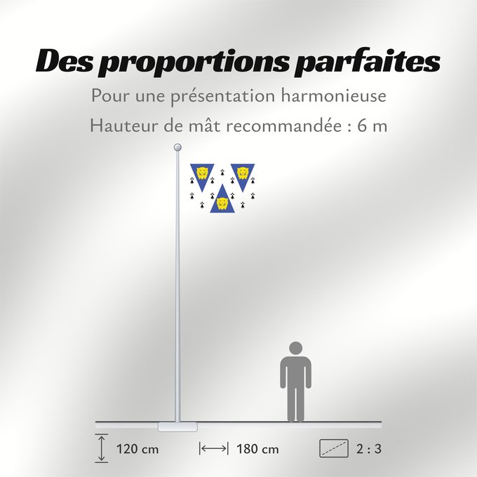 Proportions du drapeau : Shropshire
