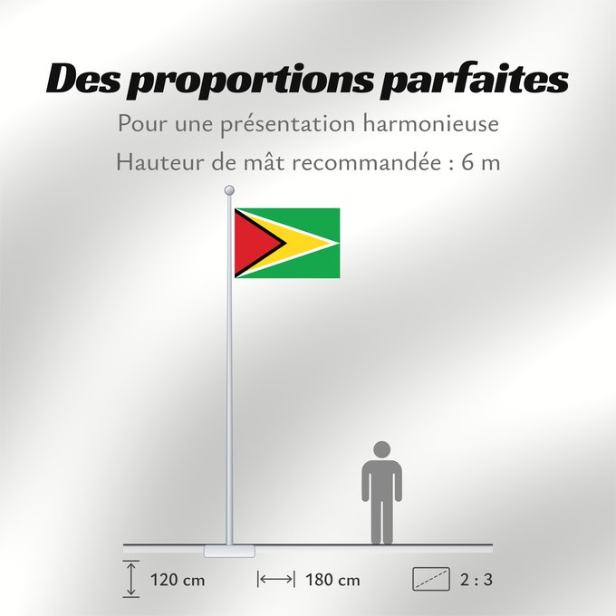 Proportions du drapeau : Guyana	Guiana	Wayana wiphala	Gujano	Gwayana	Wayana unancha	Флаг Гайаны	Guyanas	Quốc kỳ Guyana