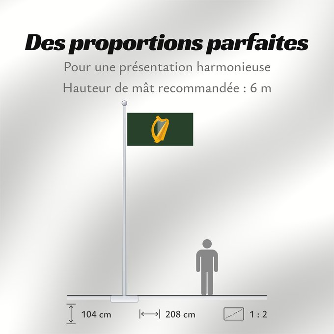 Proportions du drapeau : Leinster	W Leinster