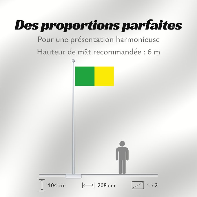 Proportions du drapeau : Counties of Donegal, Leitrim and Meath	Comtés de Donegal, Leitrim et Meath	Condados de Donegal, Leitrim y Meath	Grafschaften Donegal, Leitrim und Meath	Contee di Donegal, Leitrim e Meath