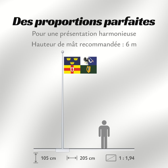 Proportions du drapeau : Four Provinces Ireland
