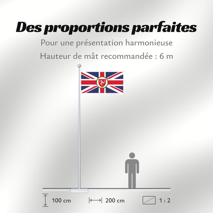 Proportions du drapeau : Lieutenant Governor of the Isle of Man This flag was originally uploaded as w en Image Flag of the Governor of the Isle of Man Lieutenant-Gouverneur de l'Île de Man Teniente Gobernador de la Isla de Man Vizegouverneur der Isle of Man Luogotenente Governat
