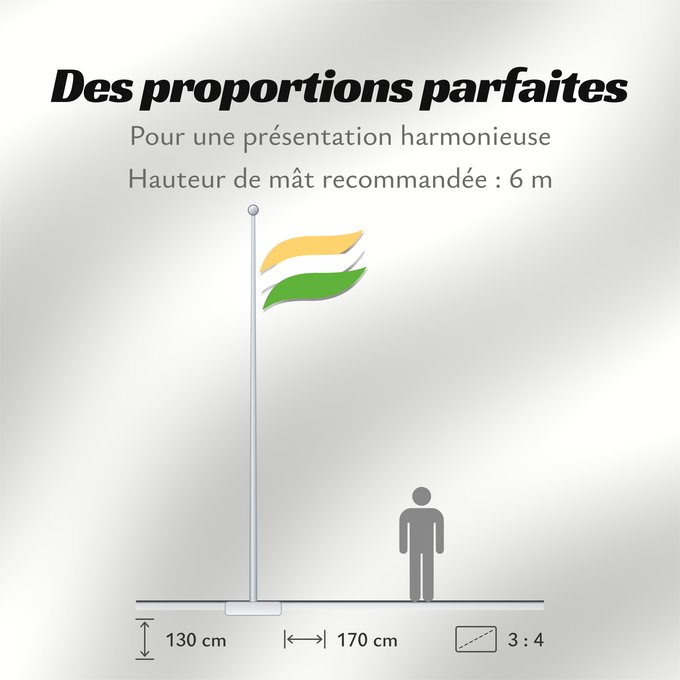 Proportions du drapeau : Tricolor