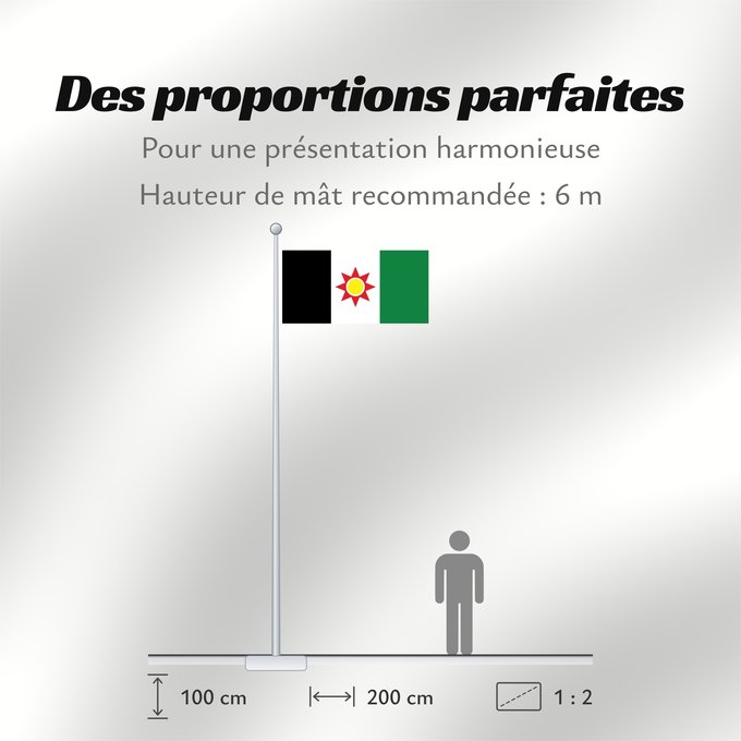 Proportions du drapeau : Iraq 1959-1963