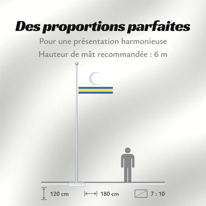 Proportions du drapeau : Proposed flag of Iraq Coalition Provisional Authority A proposal for the a future iraqi flag by the Coalition Provisional Authority from 2004, rejected after widespread criticism