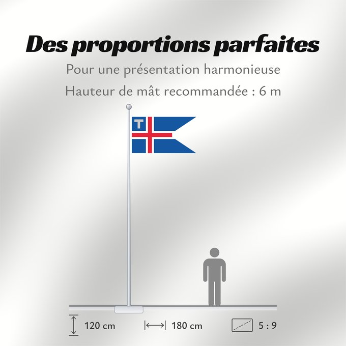 Proportions du drapeau : Customs Flag and Ensign of Iceland	Customs flag of Iceland. Ratio 37 18	Servicio Aduanero