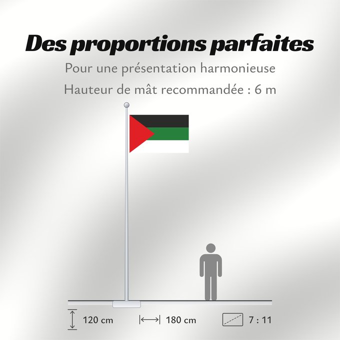 Proportions du drapeau : Arab revolution	Arab revolt of 1917  Hashemites	Révolte arabe (1917)	Revuelta Árabe (1917)	Arabischer Aufstand (1917)	Rivolta araba (1917)