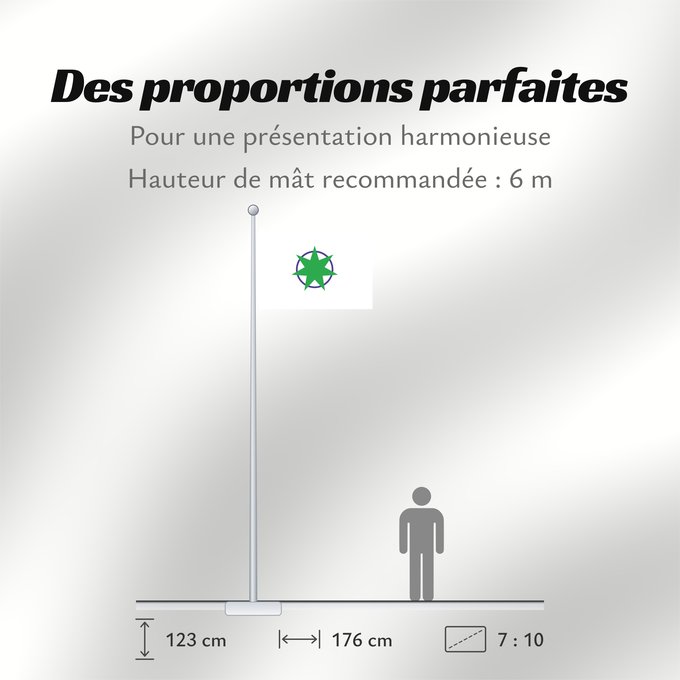 Proportions du drapeau : Aomori
