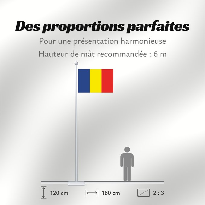 Proportions du drapeau : Sanshokuki
