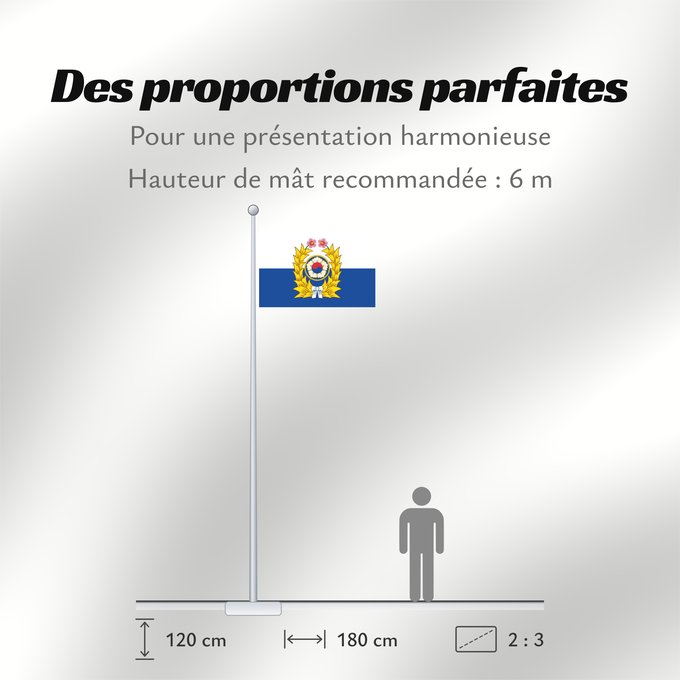 Proportions du drapeau : South Korean army Republic of Korea Army Armée de la République de Corée Versión Vectorial de la bandera de las Fuerzas Armadas de Corea del Sur Armee der Republik Korea Esercito della Repubblica di Corea