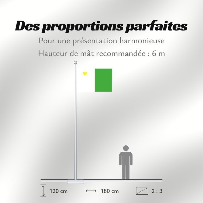 Proportions du drapeau : Planken, Liechtenstein Planken (not usual form) Planken (forme inhabituelle) Planken (forma no habitual) Planken (nicht übliche Form) Planken (forma non usuale) Not usual form of the flag of Planken