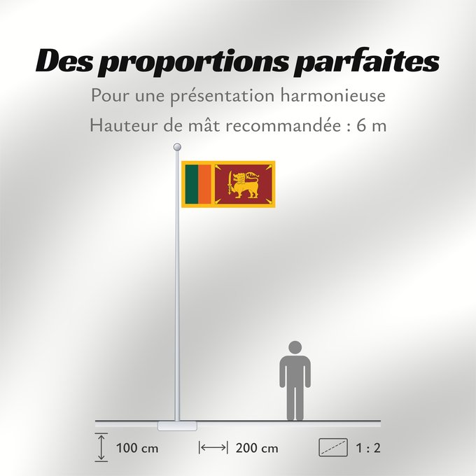 Proportions du drapeau : Ceylon 1951-1972