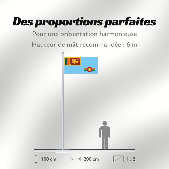 Proportions du drapeau : Ensign of the Royal Ceylon Air Force