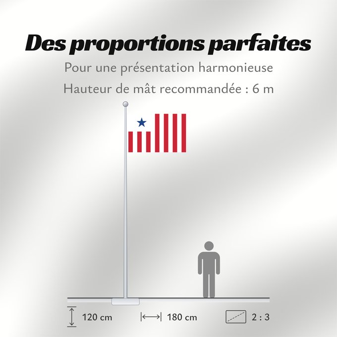 Proportions du drapeau : Liberian Customs	Liberian Customs Service - the flag s dimensions are 2 3. The main field is divided into 13  2 additional stripes compared to the national flag  vertical alternating red and white stripes	Service des douanes libériennes	Servicio de Aduana
