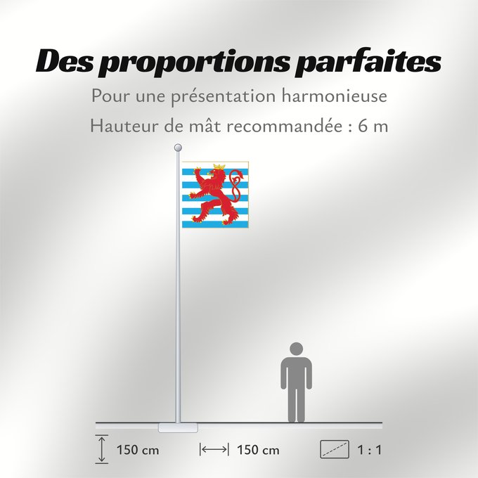 Proportions du drapeau : Army Colours of Luxembourg Obverse