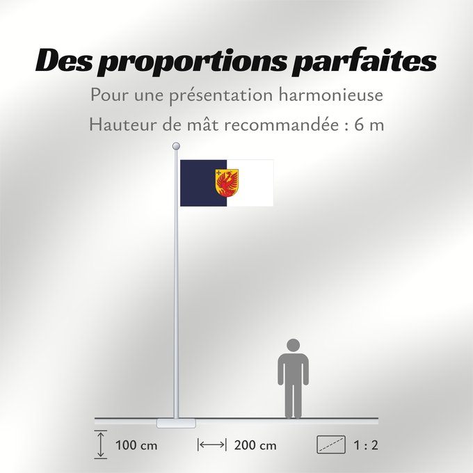 Proportions du drapeau : Dagda