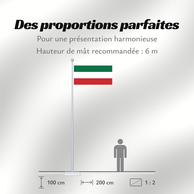 Proportions du drapeau : Lithuania Minor	Petite-Lituanie	Lituania Menor	Kleinlitauen	Lituania Minore	En Lithuania Minor, created in Inkscape by me