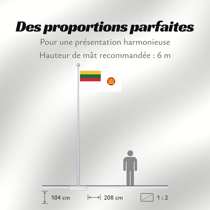 Proportions du drapeau : Lithuanian Minister of Defence s