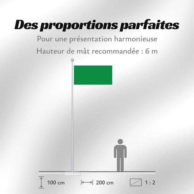 Proportions du drapeau : Libya  1977-2011	The national flag of the Libyan Jamahiriya from 1977 to 2011	La Libye 1977 à 2011	Libia	Libyens von 1977 bis 2011	Libië van 1977 tot 2011	Líbia	Pl Flaga Libii	Libië	علم ليبيا	Banniel Libia	Liibüa lipp	דגל לוב	リビアの国旗  1977年-2011年	Libyas fl