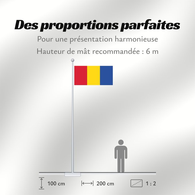 Proportions du drapeau : Moldova back Back of the flag of Moldova 1990-2010 Achterkant van de vlag van Moldavië 1990-2010