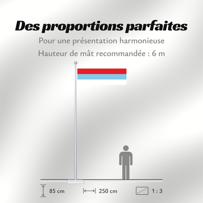 Proportions du drapeau : Montenegro  1993-2004	Montenegro between 1993 and 2004	Crne Gore  1993-2004