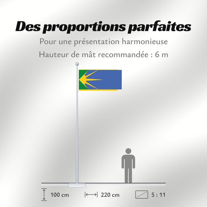 Proportions du drapeau : Bosilovo Municipality	Bosilovo Municipality, Macedonia	Знаме на Општина Босилово