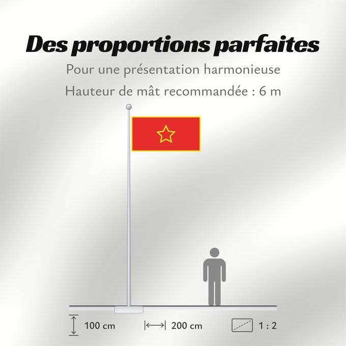 Proportions du drapeau : Goce Delčev Battalion	Goce Delčev Battalion used during the Macedonian Liberation War  WWII	Bataillon Goce Delčev (Guerre de libération macédonienne, Seconde Guerre mondiale)	Batallón Goce Delčev (Guerra de Liberación de Macedonia, Segunda Guerra Mundial)